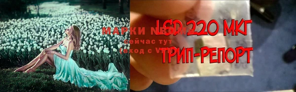 винт Елабуга