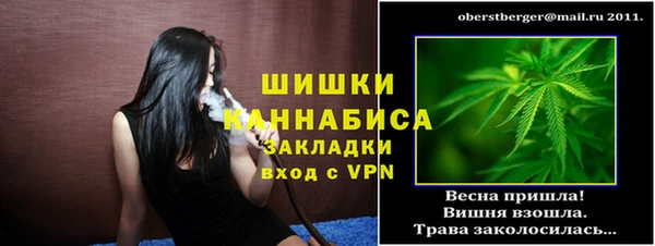 хмурый Елизово