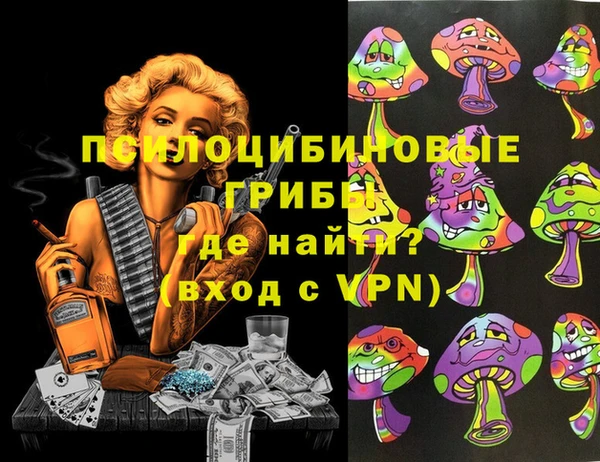хмурый Елизово