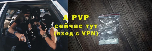 винт Елабуга