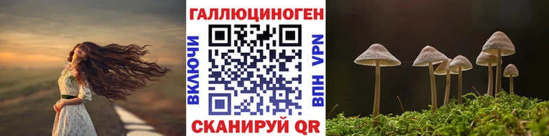 Галлюциногенные грибы GOLDEN TEACHER  наркошоп  Находка 
